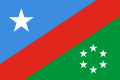 Rahanweyn Resistance Army (Southwestern Somalia)