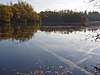 Loddon Nature Reserve