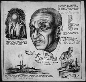 "One of America's great scientists" - one of several Carver-centric posters by C. H. Alston, this one referencing the World War II effort (circa 1943) GEORGE WASHINGTON CARVER - ONE OF AMERICA'S GREAT SCIENTISTS - NARA - 535694.jpg