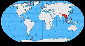 Levinneisyys: Luoteis-Intiasta Tyynenmeren rannikolle