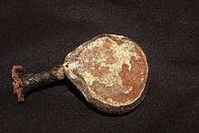 Ganoderma orbiforme (Fr.) Ryvarden 616192.jpg