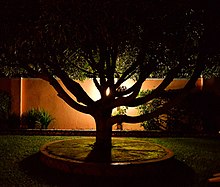Garden lighting in Kampala, Uganda Garden, Kampala, Uganda (15299305026).jpg