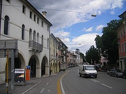 En gata i Conegliano