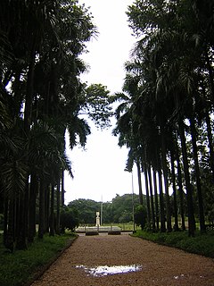 Ботанический сад Калькутты pathway.jpg