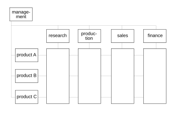 Diagram of a matrix organisation
