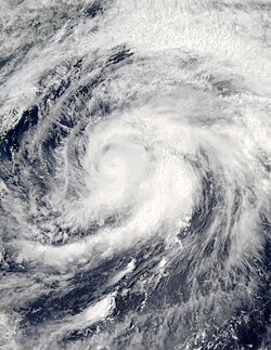 颱風瑪娃