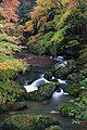 2018年11月8日 (木) 03:42時点における版のサムネイル