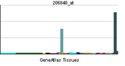 PBB GE AFM 206840 at tn.png