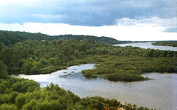 Прип'ятський (національний парк) — фото