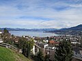 Richterswiler Bucht mit Zürichsee und St. Galler Voralpen