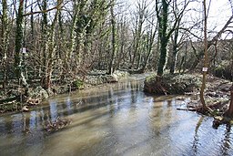 River Greet - geograph.org.uk - 335116.jpg