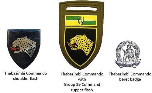 SADF era Thabazimbi Commando insignia
