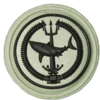 SANDF Qualification Attack Diver Instructor badge embossed.png