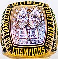 Super Bowl XIX (San Fransisco 49ers)