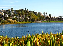 View of lagoon, ice plant in foreground, palm trees in background