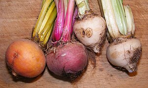 Golden, red, and white beetroots (left to right).