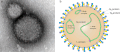 Vorschaubild der Version vom 13:31, 25. Sep. 2020