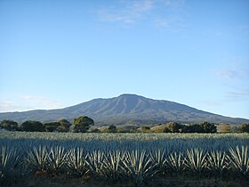 Vue du volcan de Tequila.