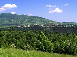 Panorama Vrbovskog