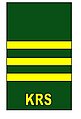 Warrant Officer 1