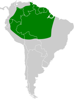 Distribución geográfica del trepatroncos loco.