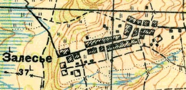 План деревни Залесье. 1930 год