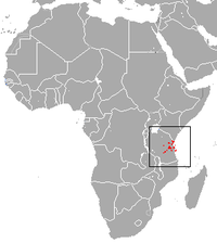 Distribución del gálago de Zanzíbar