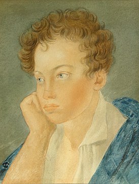 В романе изображаются детские и юношеские годы А. С. Пушкина