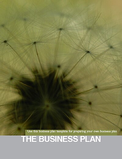 Business Plan Template on Sustainable Business The Business Plan   Wikibooks  Open Books For An