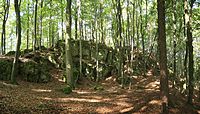 Bild 4: Ansicht des Vorgeländes im Süden des Burgstalls mit dem Felsgrat, der als ehemaliger Aufgang zur Burg diente. Im Vordergrund ist eine planierte Fläche zu erkennen, die eventuell als Vorburg-Plateau gedient hat