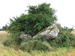 Image illustrative de l’article Dolmen de la Roche aux Loups (Buthiers)