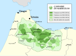 Miniatura para Cannabis en Marruecos