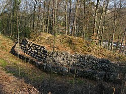 Dietikon - Glanzenberg Burg IMG 5918.JPG