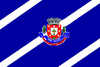 Flag of Dom Viçoso