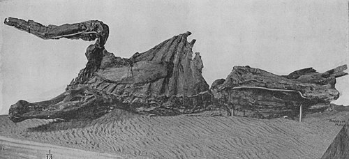 View of the right side of the mummy