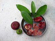 Kokum