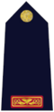 Rank insignia of Garda Inspector