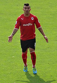 Gary Medel Cardiff City.jpg