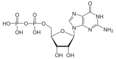 Скелетная формула гуанозиндифосфата