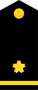 Знак отличия прапорщика JMSDF (c) .svg