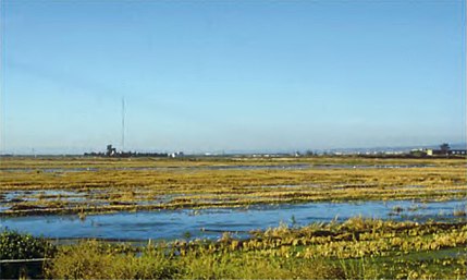 L'Albufera (comarca Huerta de Valencia - València), 25 d'octubre de 2002