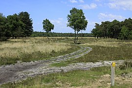 Leersumse Veld