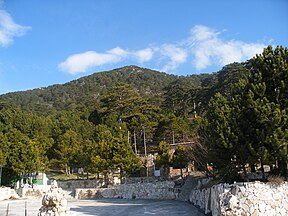 Baumbestand im Nationalpark (2008)