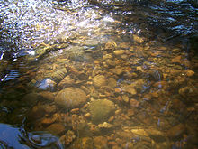 A stream bed armored with rocks Low creek.jpg