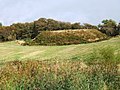 Motte and Bailey castle, Ardwell, by Isles of Killaser, north Chapel Rosan Bay.