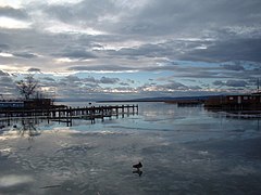 Le lac de Neusiedl en hiver.