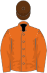 Orange, orange sleeves, brown cap