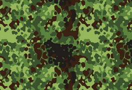 Польский лесной Flecktarn Gepard