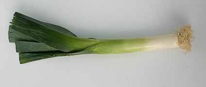 a leek for you!