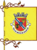 Flag of Arcos de Valdevez